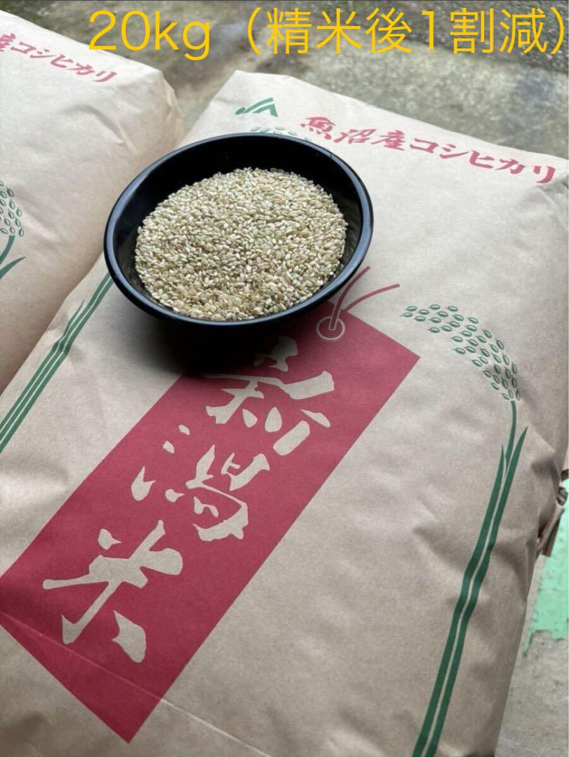 【令和６年新米】 精米のみ　魚沼産コシヒカリ 中米 20㎏（精米時、約18㎏）