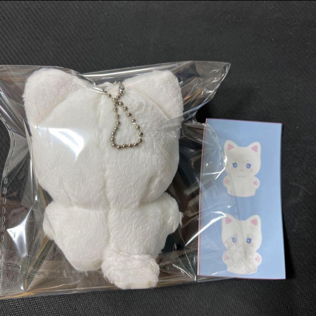 ジュン ぬいぐるみ 10cm 新品 マスター セブチ seventeen