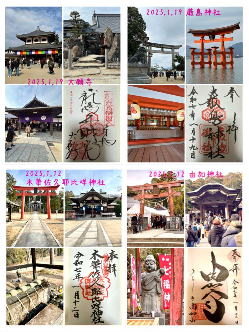 白蛇の抜け殻☆巳年生まれが育てる白蛇のお守り☆全身☆貴重【
