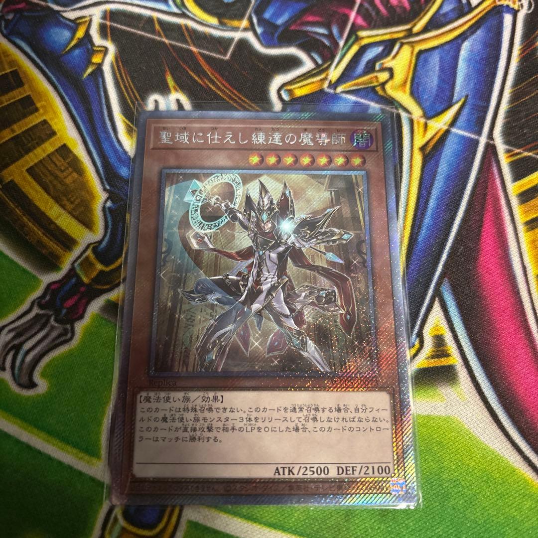 聖域に仕えし練達の魔導師 - メルカリ