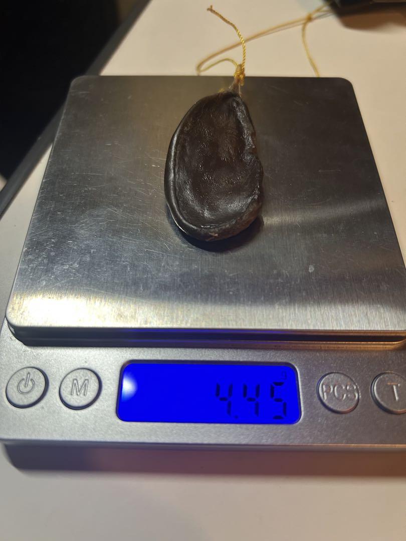 熊 涙型 置物