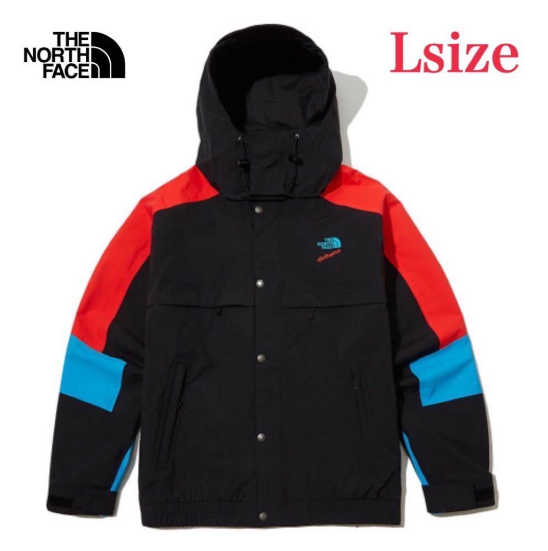 ノースフェイス 90 EXTREME RAIN JACKET Lサイズ 海外限定