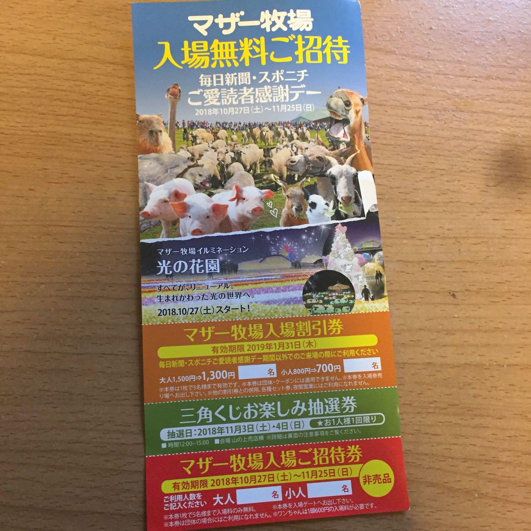 海外 正規品】 遊園地/テーマパーク-あいまみ様専用ページ - sjemenarna.net 海外 正規品】 遊園地/テーマパーク-あいまみ様専用ページ - sjemenarna.net