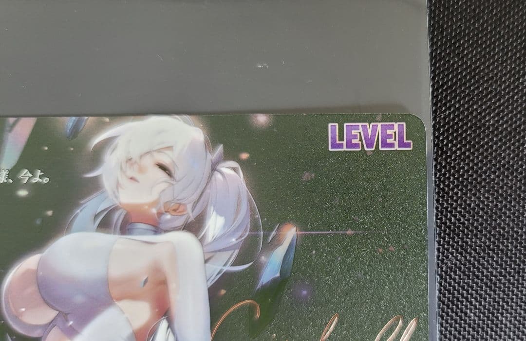 NIKKE NIVEL ARENA シンデレラ SPL リーダー サイン NIKKE NIVEL ARENA シンデレラ SPL リーダー サイン