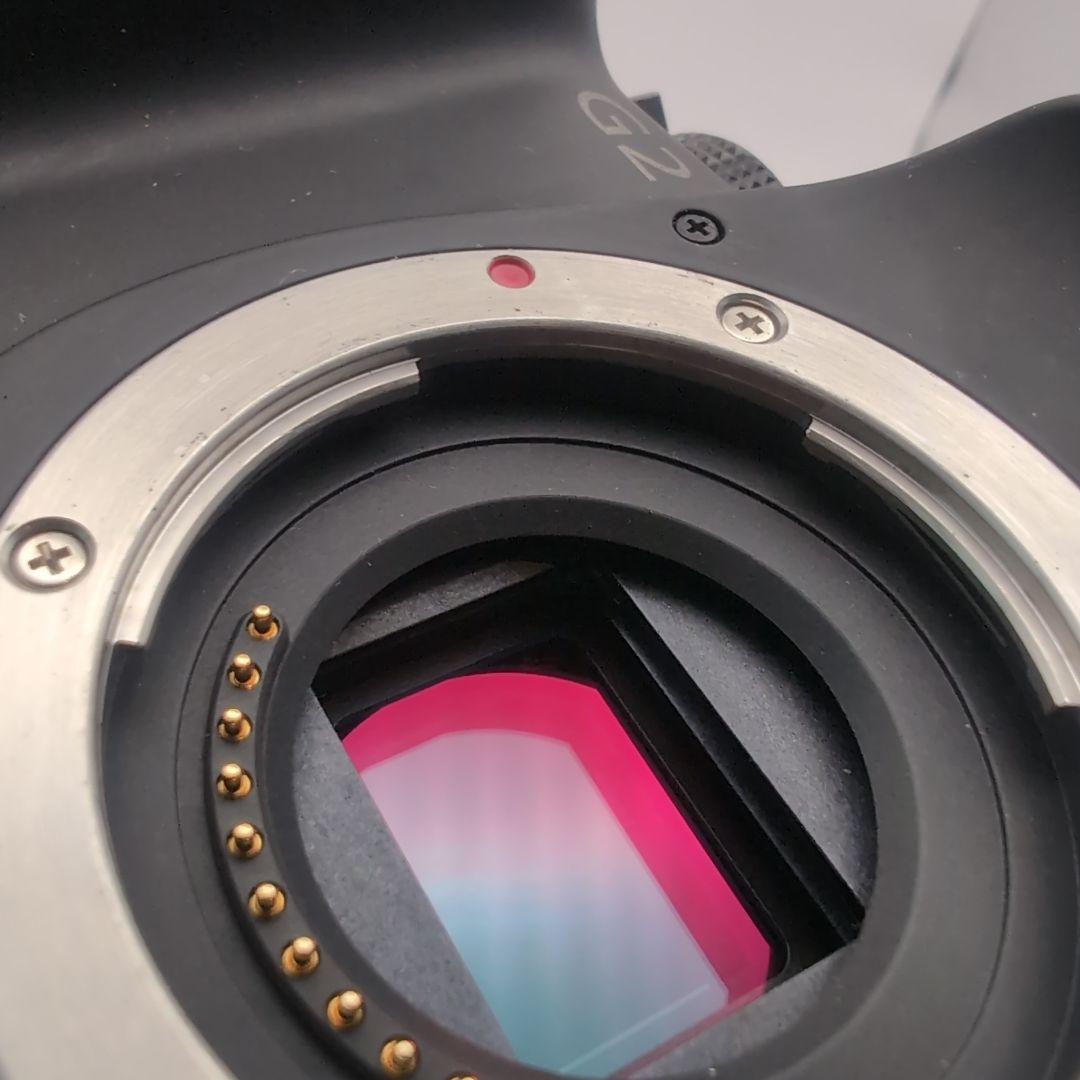 ✾Panasonic LUMIX DMC-G2✾ジャンク