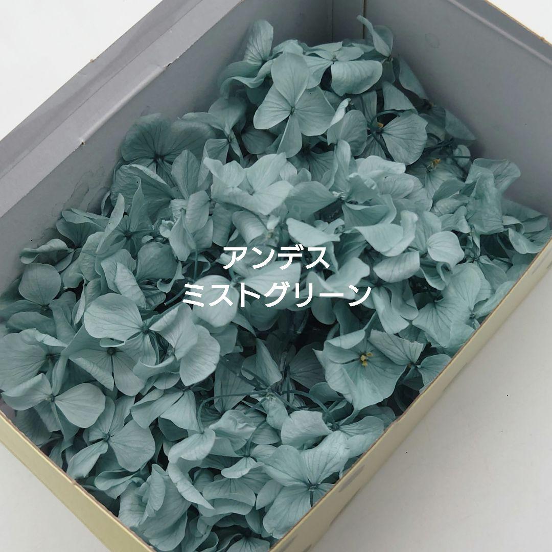 no.23492 アンデスあじさい　ミストグリーン　新品　フロールエバー
