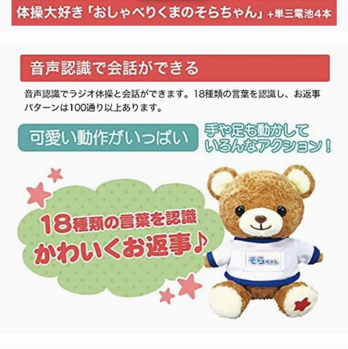 無償保証 体操大好き おしゃべりくまのそらちゃん 無償保証 体操大好き おしゃべりくまのそらちゃん