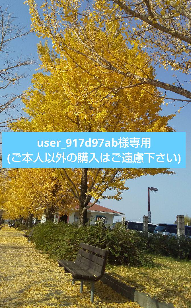 目黒蓮 中条あやみ 午後の紅茶 非売品 ポスター Snowman めめ