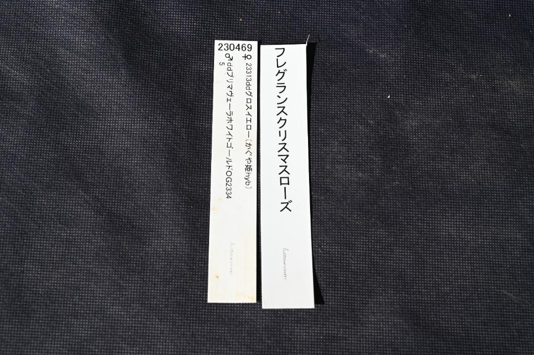 認定ddフレグランス