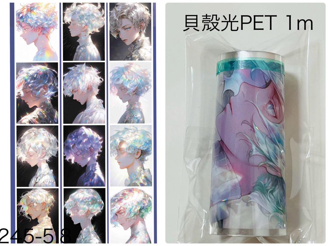 【 同梱¥500 】貝殼光PET 1m  海外マスキングテープ 切り売り#631
