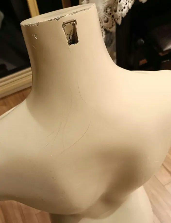マネキン ボディ 女性 トルソー   ディスプレイ