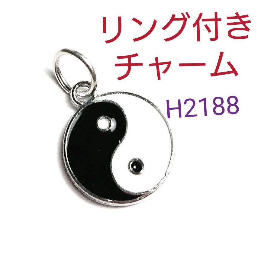 メルカリ H21 新品 陰陽 マーク 太極図 リング付き チャーム ピアス 片耳用 1 380 中古や未使用のフリマ メルカリ H21 新品 陰陽 マーク 太極図 リング付き チャーム ピアス 片耳用 1 380 中古や未使用のフリマ