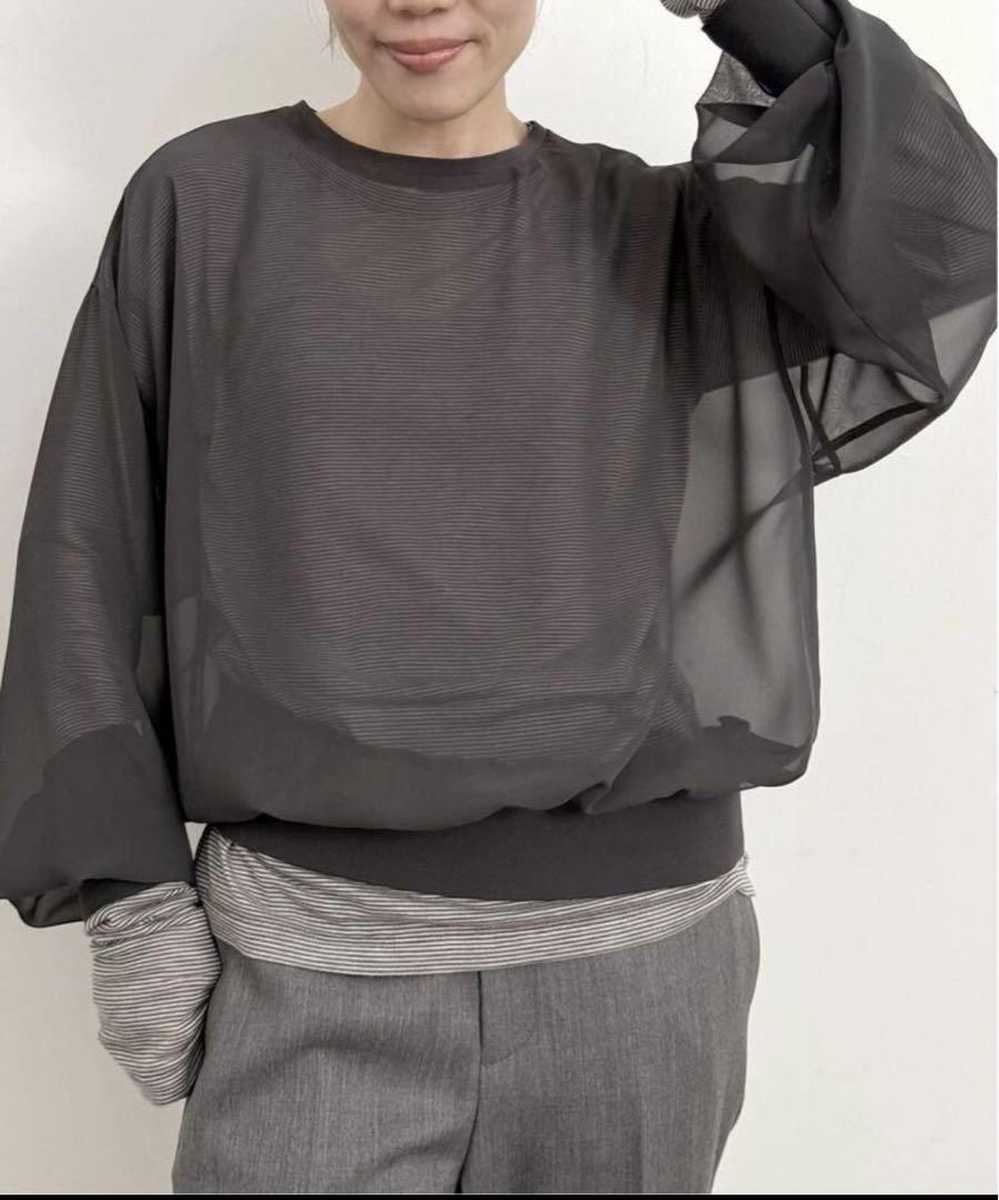 リップL'Appartement Sheer Blouse+Tシャツ Sheer T-shirt L'Appartement アパルトモン シアーTシャツ