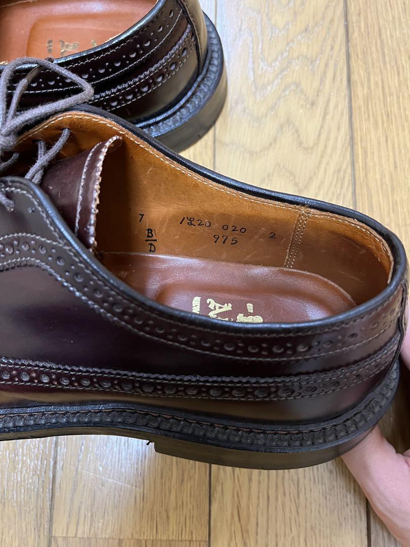 Alden オールデン 975 ロングウイングチップ コードバン 7D