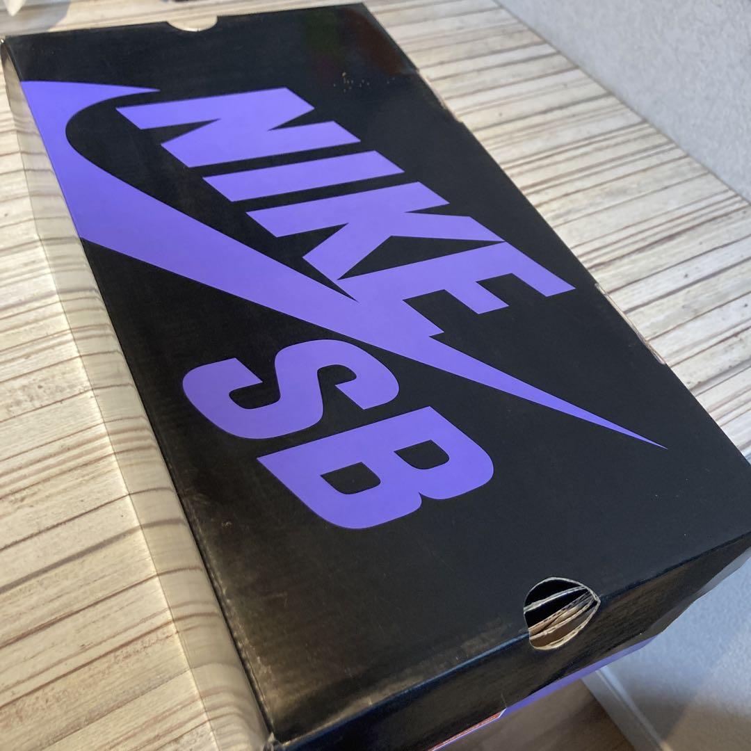 靴 NIKE SB ZOOM TEAM EDITION SB
