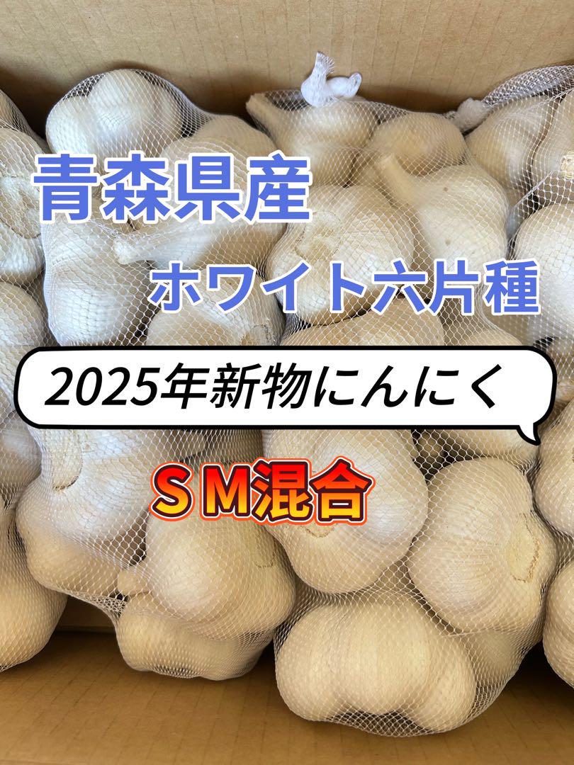 青森県産にんにく5キロ 青森県産にんにくMサイズ5キロ