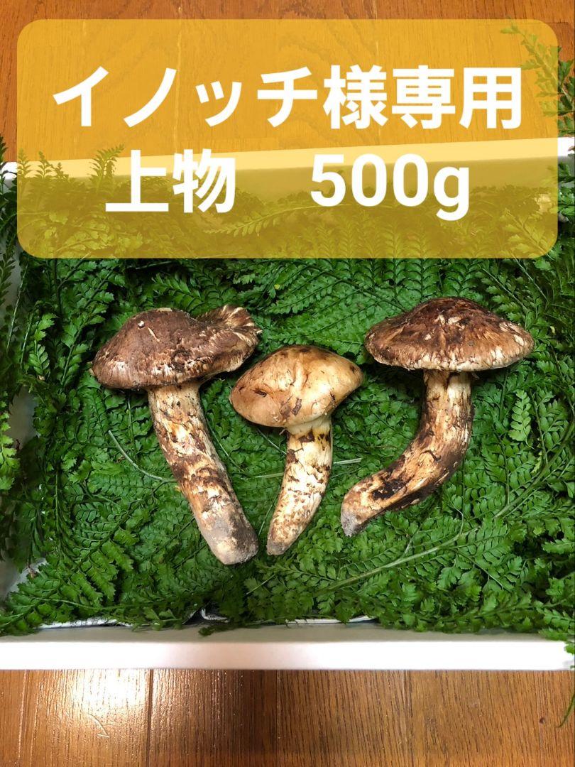 人気アイテム イノッチ様専用 山形県産天然まつたけ 上物500g | www