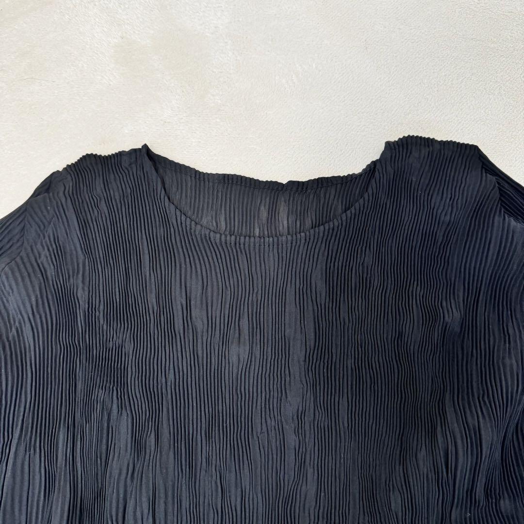 専用✨ISSEY MIYAKE プリーツ　ブラック　透け感　長袖