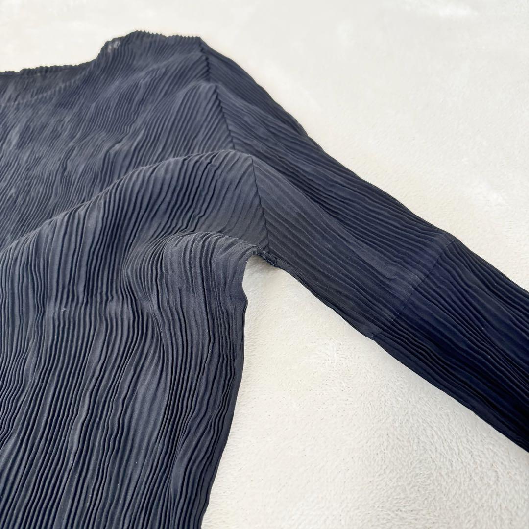 専用✨ISSEY MIYAKE プリーツ　ブラック　透け感　長袖