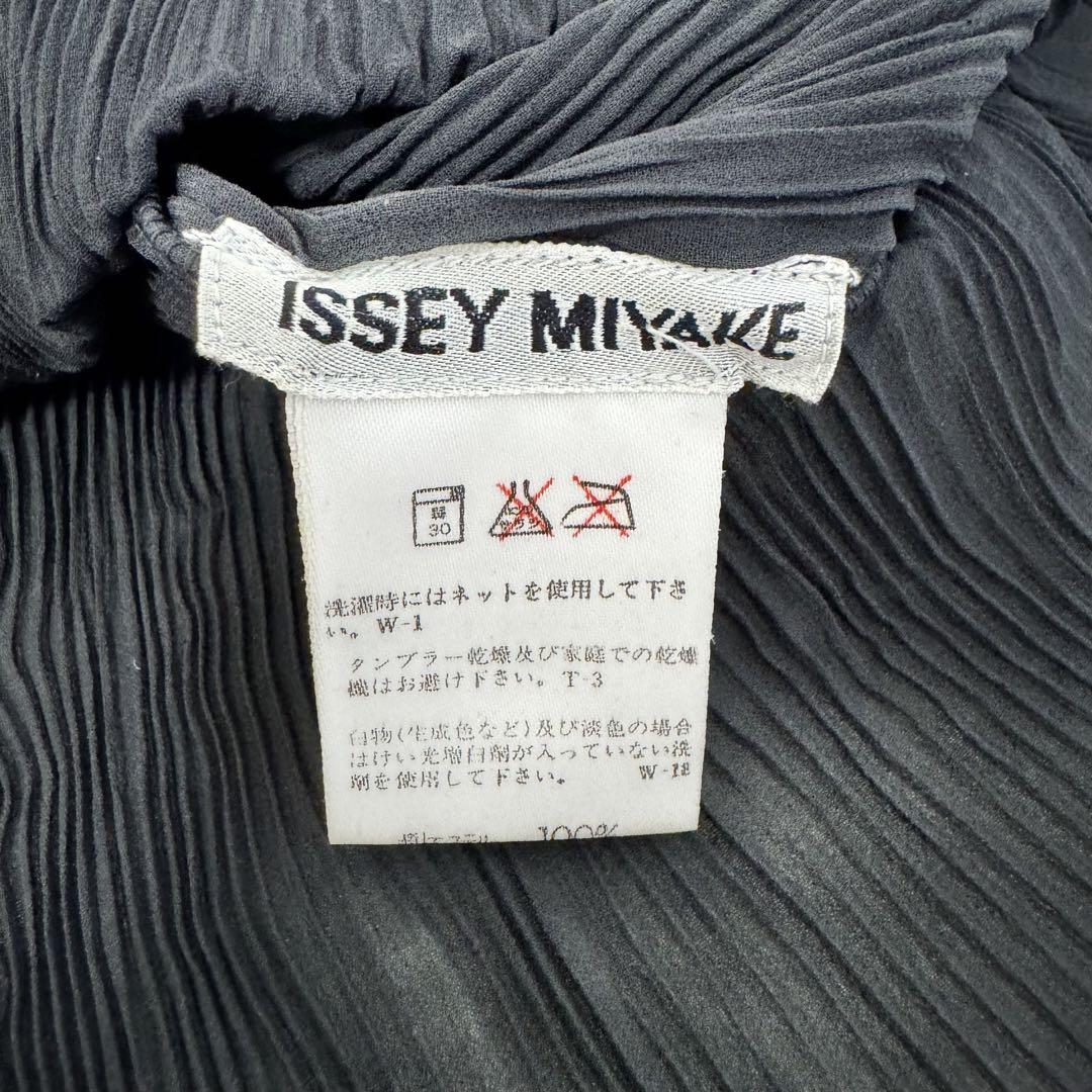 専用✨ISSEY MIYAKE プリーツ　ブラック　透け感　長袖