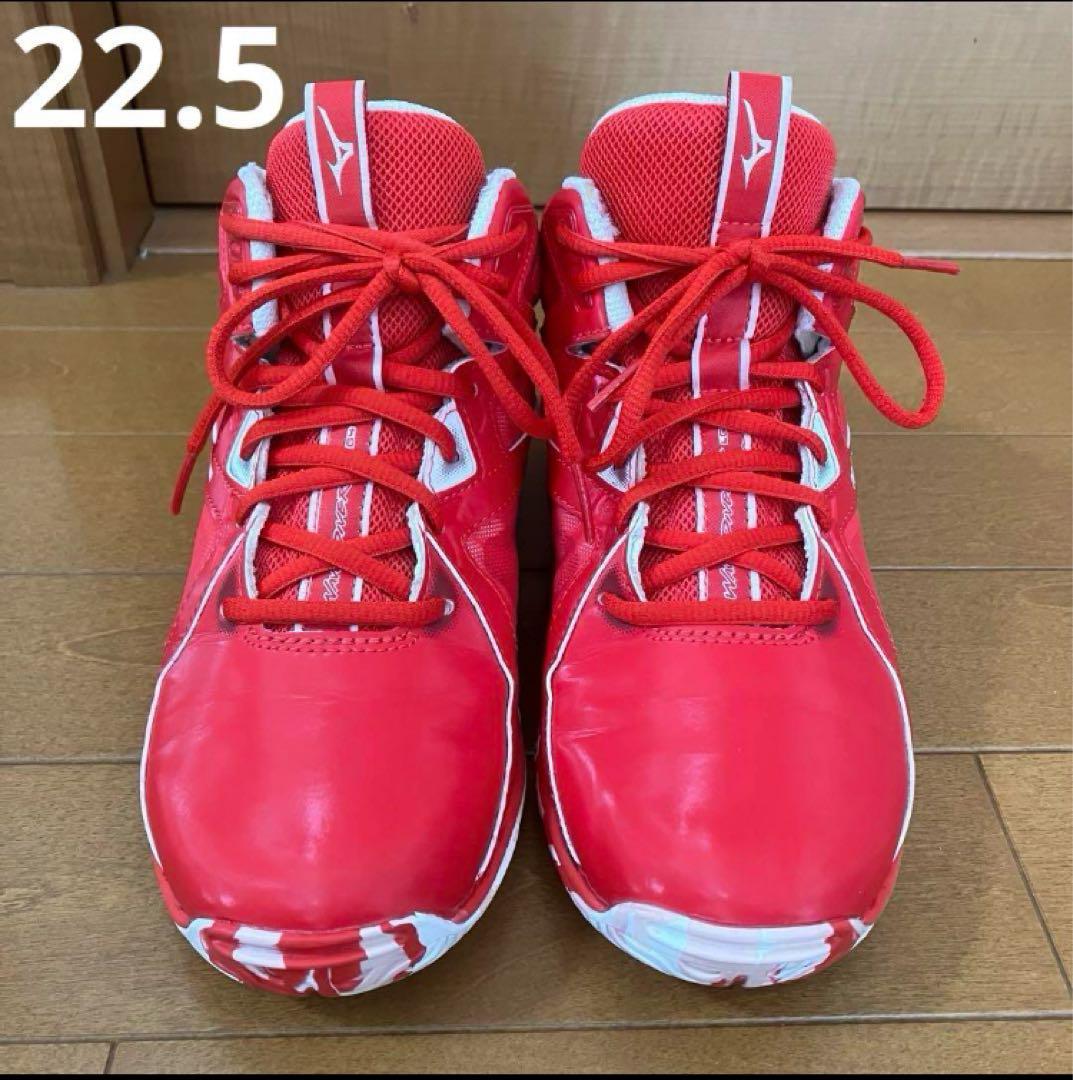 MIZUNO フィットネスシューズ　ウエーブダイバース　LG4 Ltd 限定色