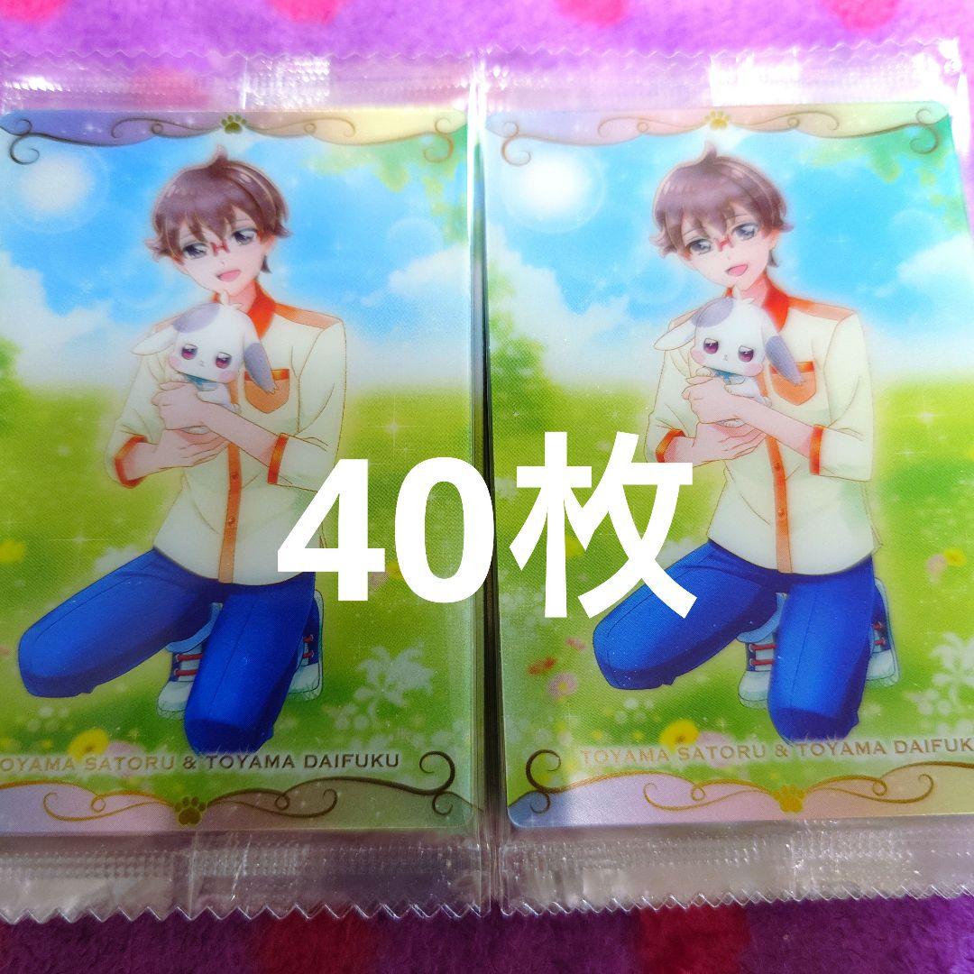 プリキュア カードウエハース 11 N 兎山悟＆兎山大福 40枚