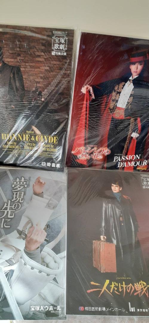 新品 13冊セット 宝塚歌劇団 パンフレット（リーフィー・夢現の先に・殉情など） 新品 13冊セット 宝塚歌劇団 パンフレット（リーフィー・夢現の