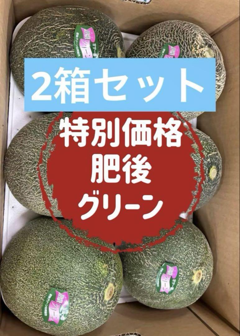 【2箱セット】【値下げ】果物　メロン　肥後グリーンメロン　お得　業務　10kg