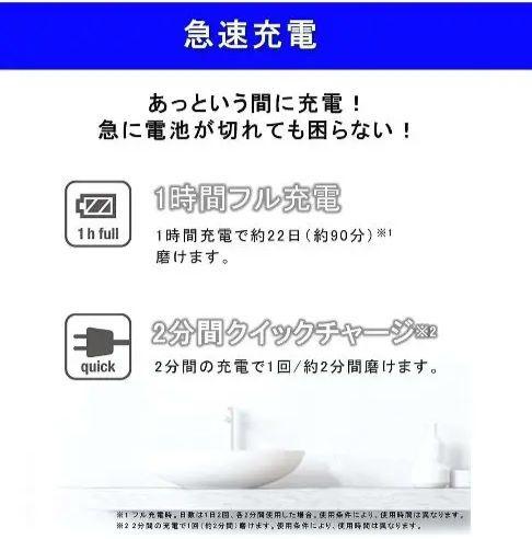 Panasonic 電動歯ブラシ ドルツ シルバーEW-DP55