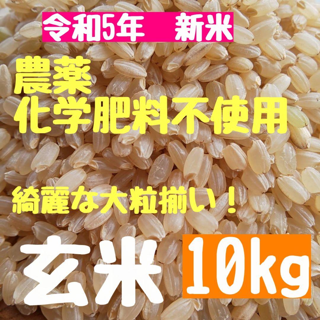 玄米10kgリピーター様8100円 別途送料500円