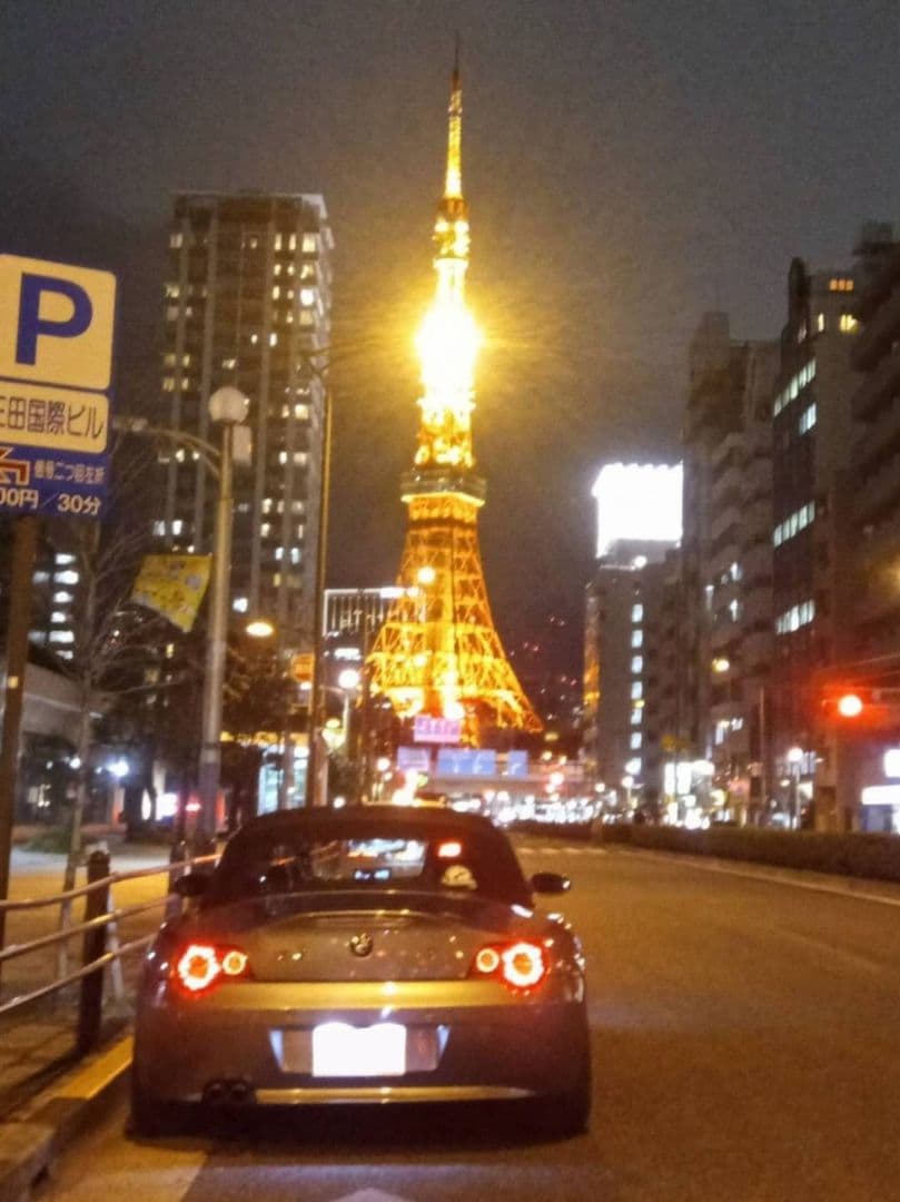 BMW E85 Z4 総LED テールランプ 左右セット TRITUETUBI_COM