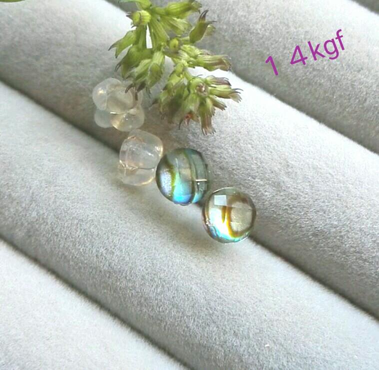 専用＊14kgf/アバロンシェル×クリスタルとブラウントパーズのトロピカルな植物 14kgf/アバロンシェル×クリスタルとウンバサファイアの