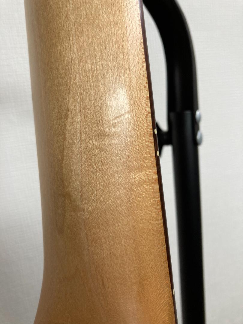 Sterling by MUSIC MAN LK100Dスティーヴルカサーモデル