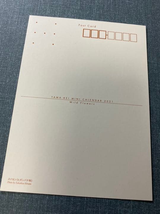 スイセンマキシマムカード1枚 メルカリ