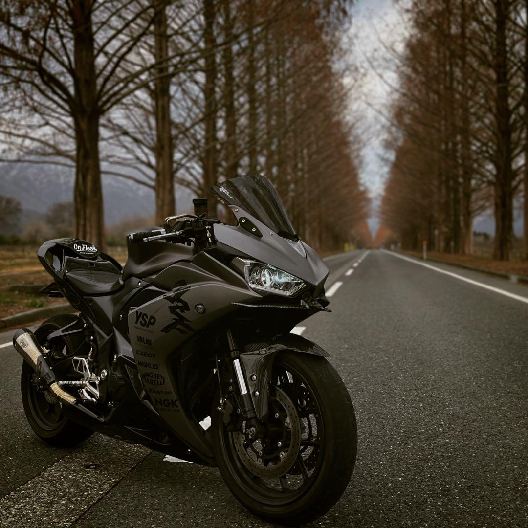 yzfr25