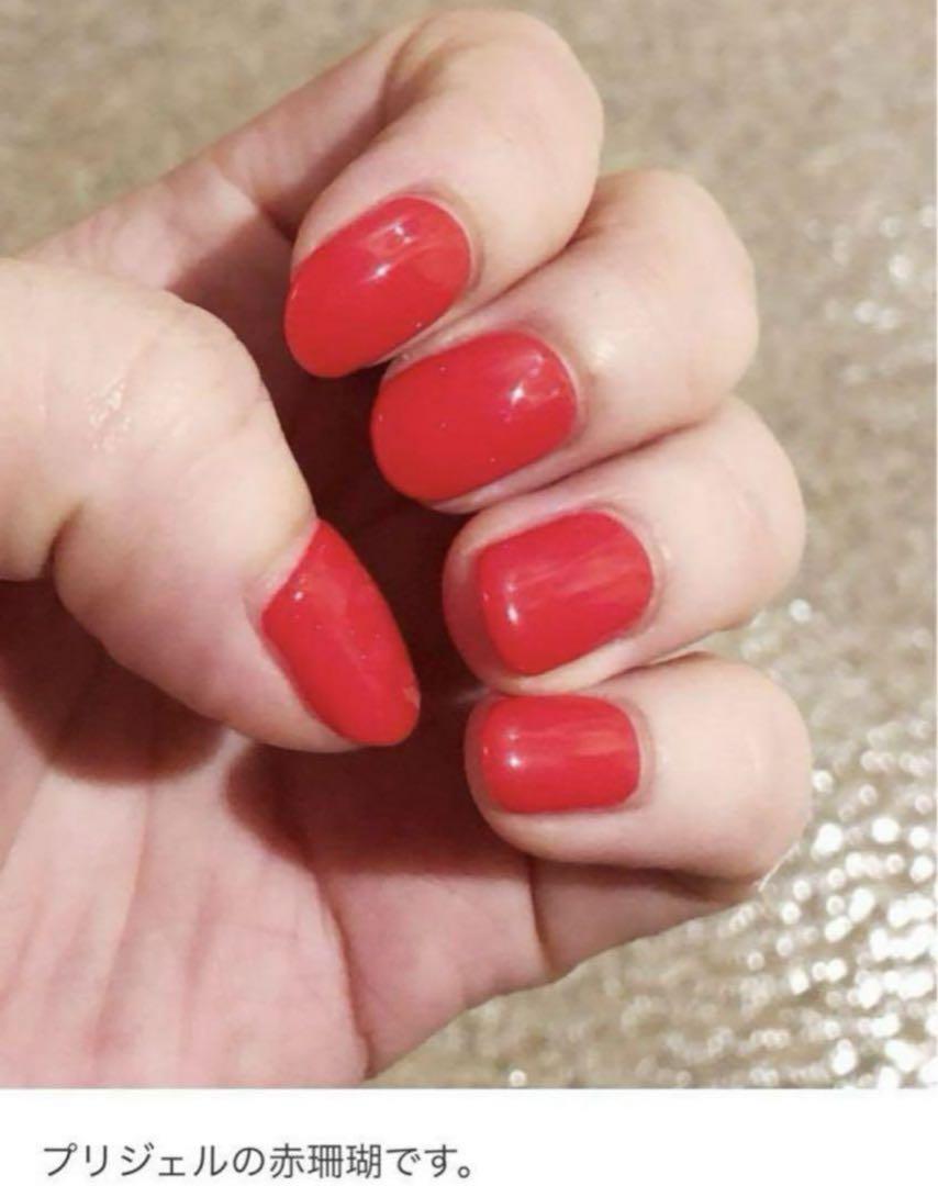 プリジェル未開封品30個 PREGEL プリジェル プリムドール ブライスコラボ ジェルネイル