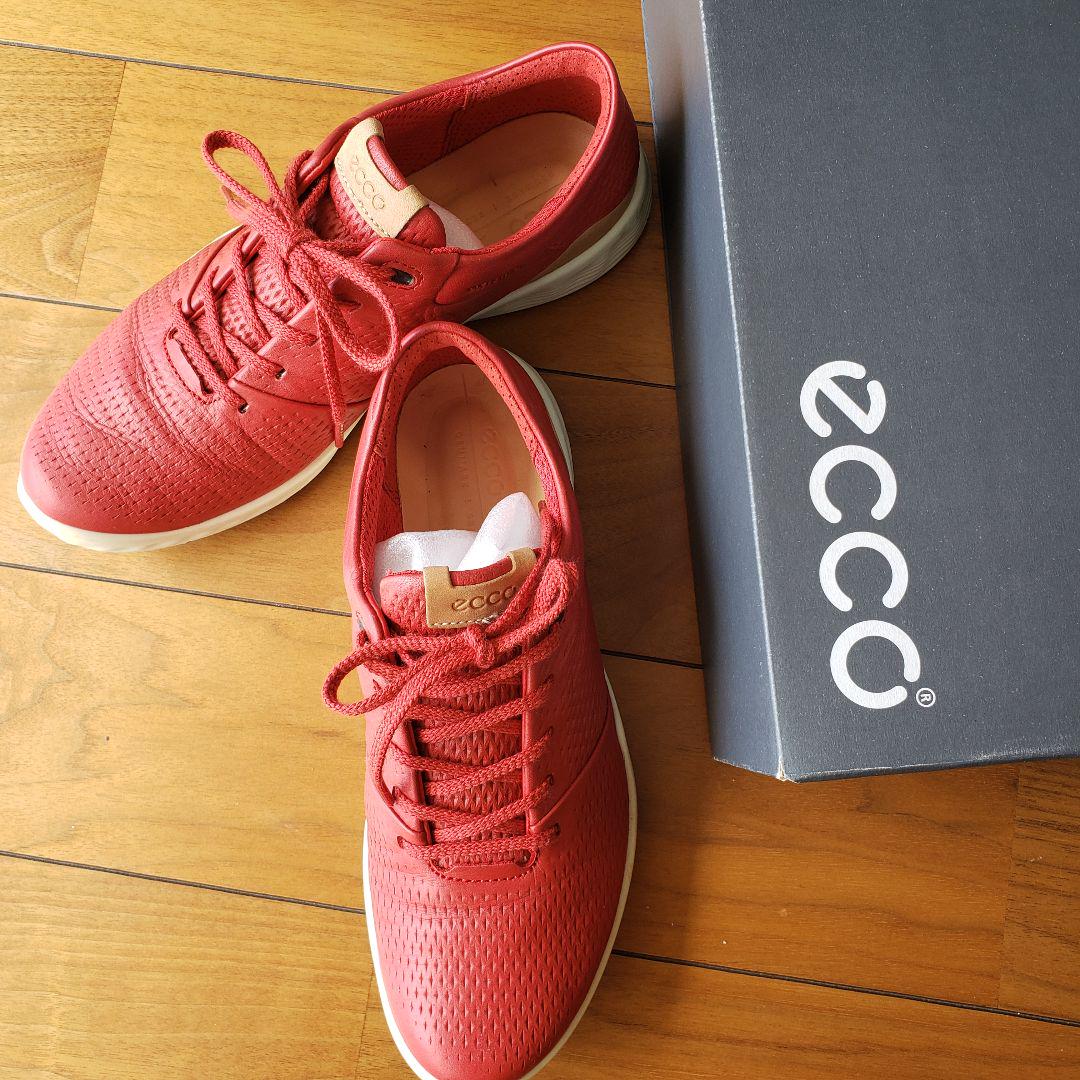 ★美★ECCO★TOMATO★