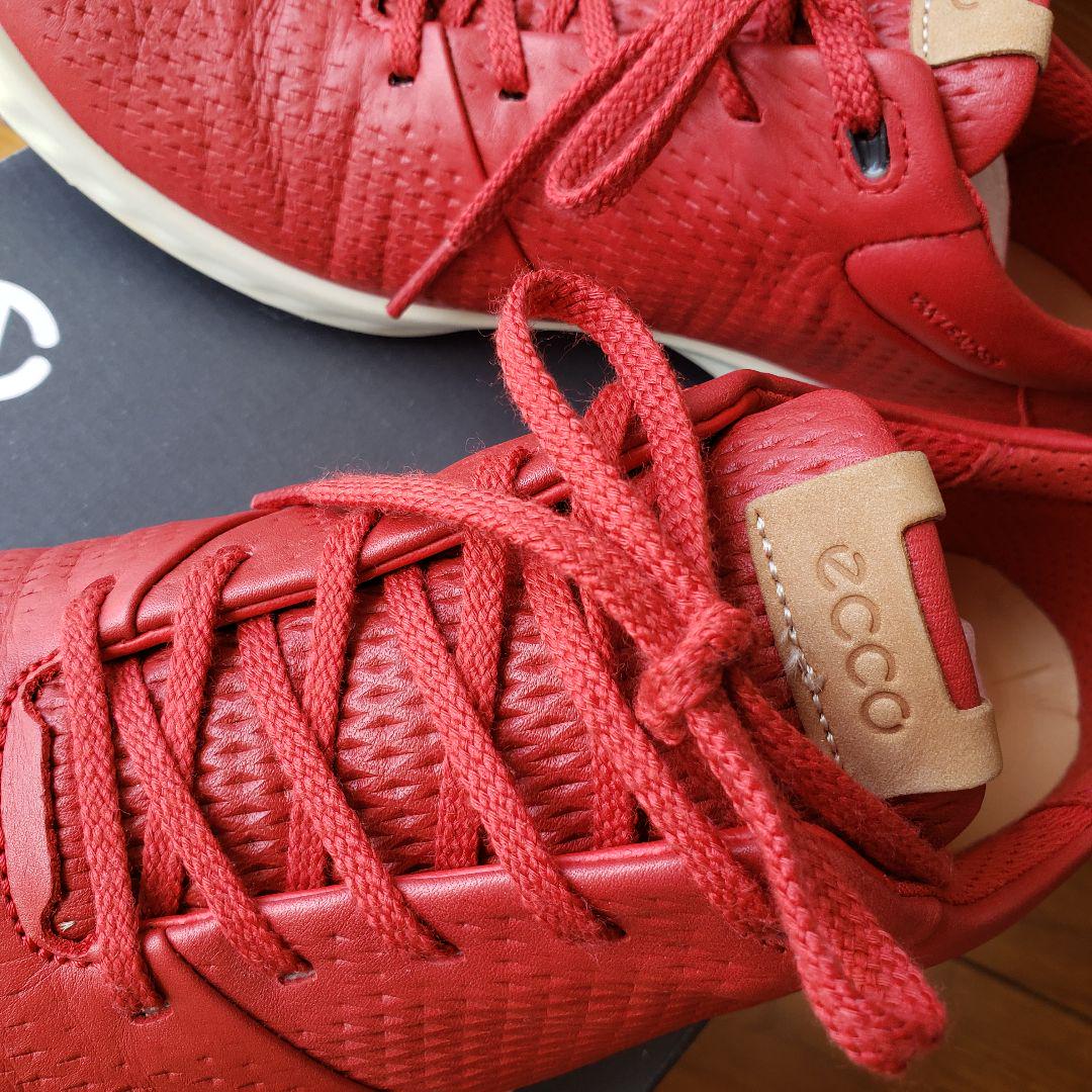 ★美★ECCO★TOMATO★