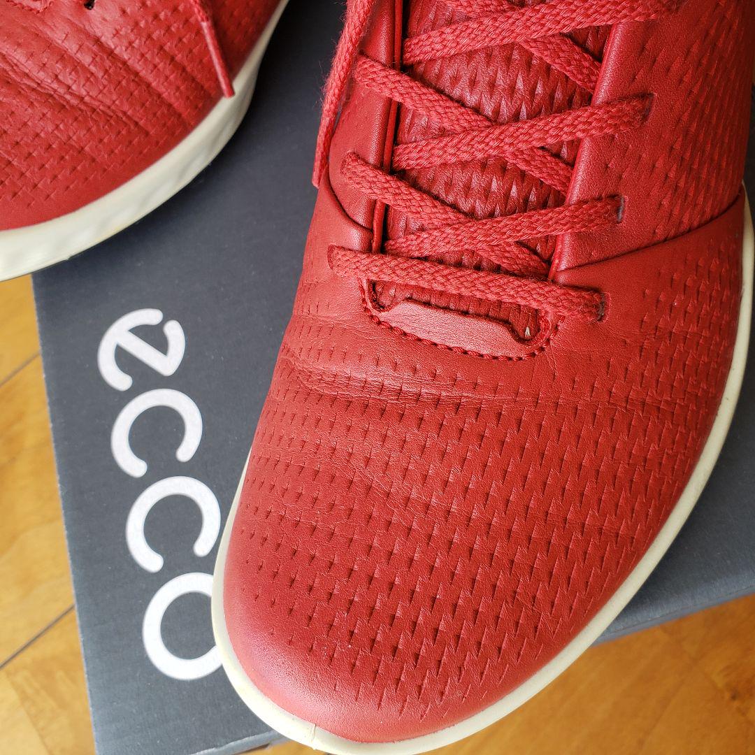 ★美★ECCO★TOMATO★