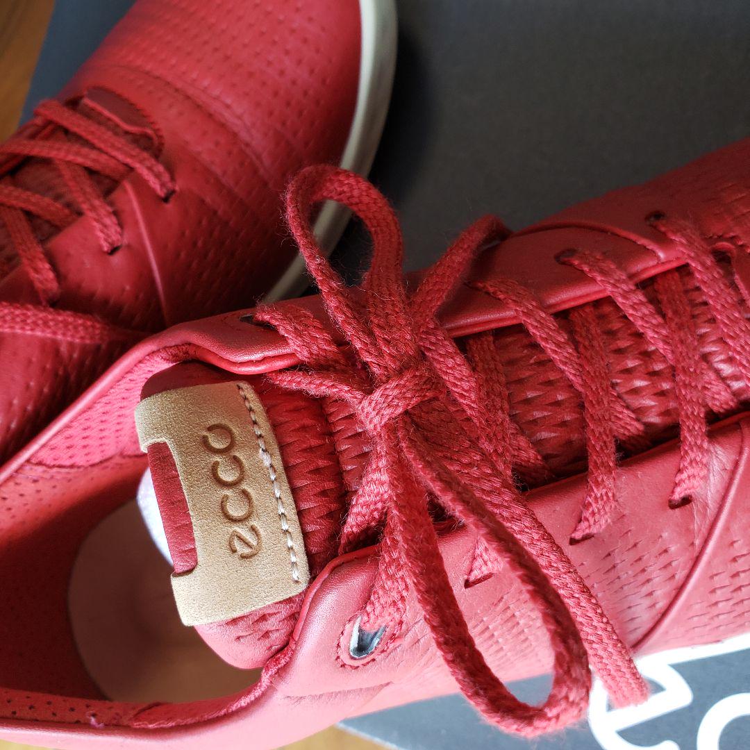 ★美★ECCO★TOMATO★