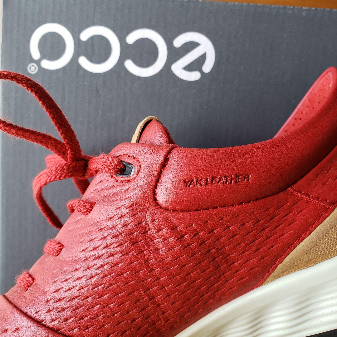 ★美★ECCO★TOMATO★