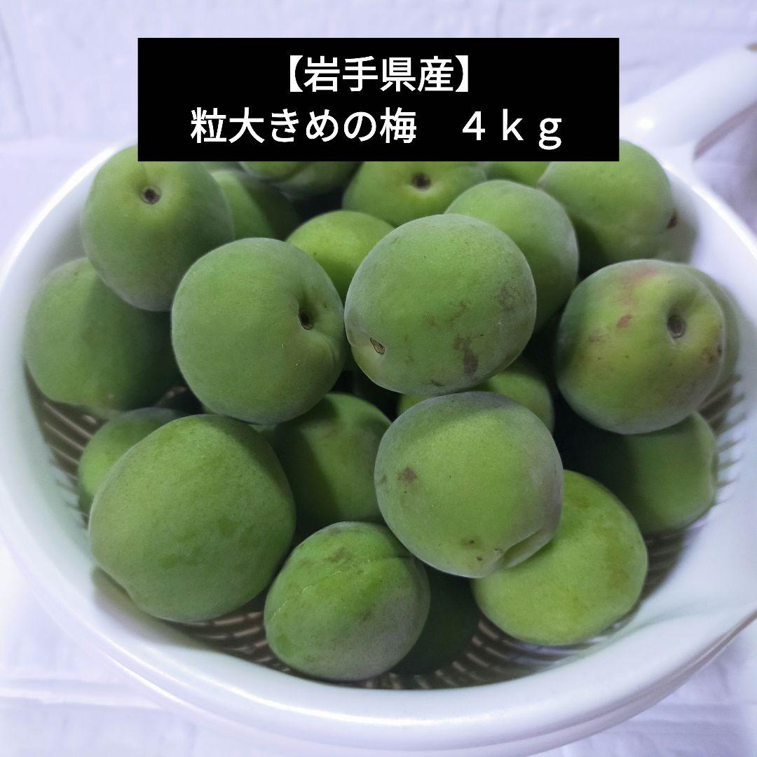 晩星摘果桃 10kg 加工用 晩星摘果桃 10kg 加工用 果物