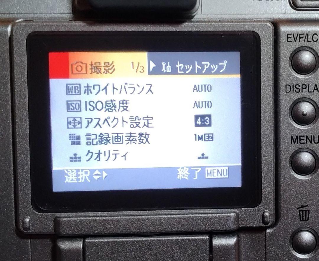 ✦Lumix DMC-FZ30