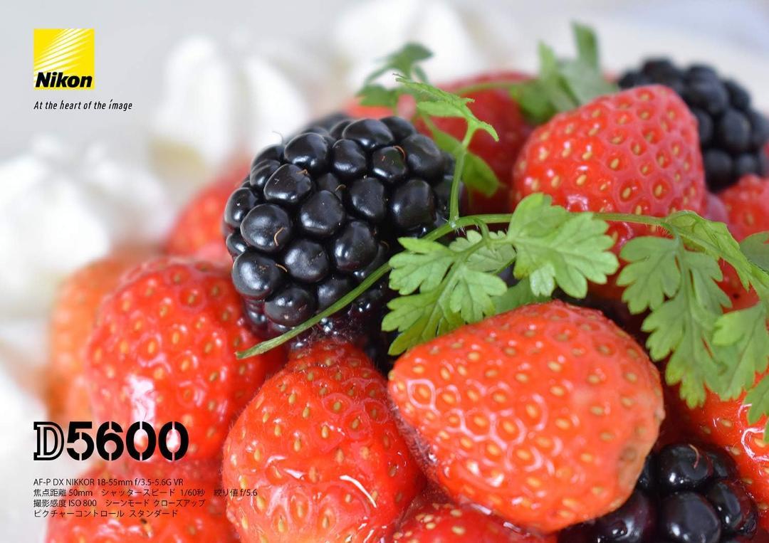 Nikon D5600 デジタル一眼レフカメラ