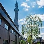 Nikon D5600 デジタル一眼レフカメラ