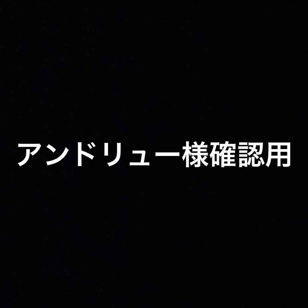 アンドリュー様確認用