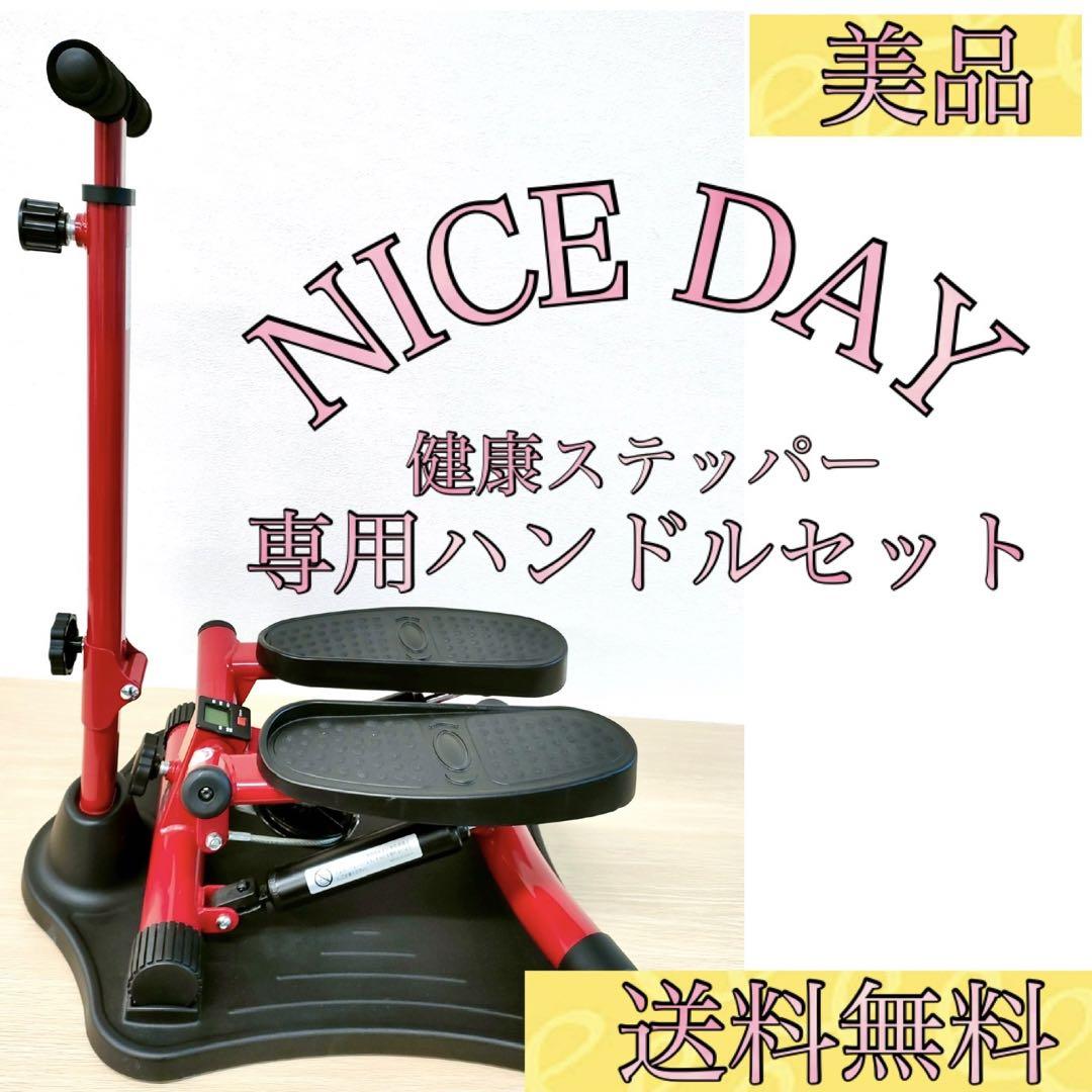 NICE DAY ナイスデイ 健康ステッパー ND-1R ハンドル＆カウンター付