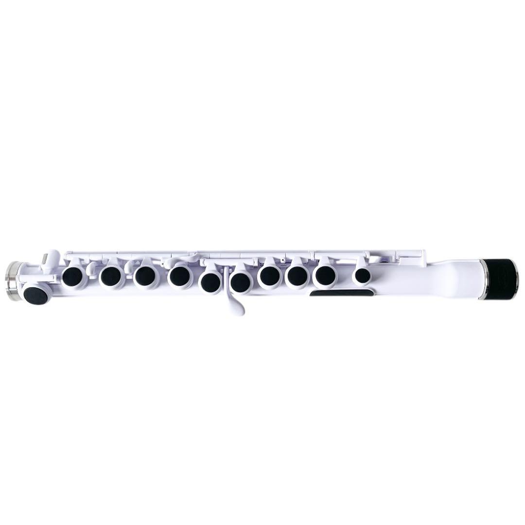 STUDENT FLUTE
