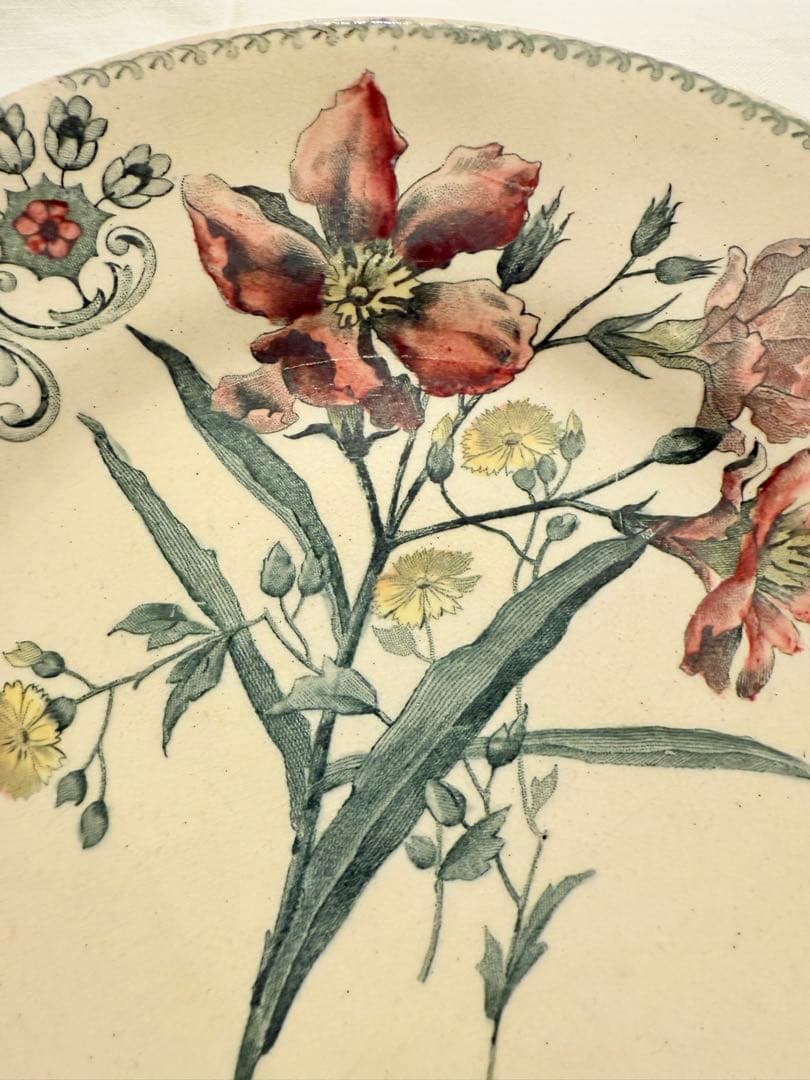 ショワジールロワ 切り花