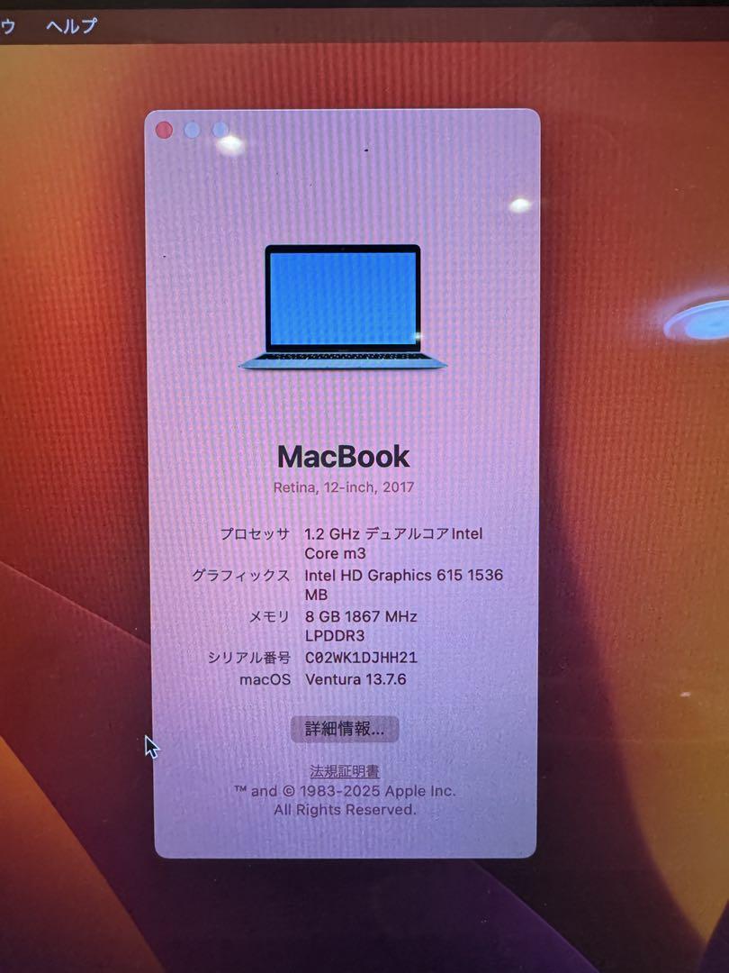 Apple MacBook Retina, 12-inch, 2017 充電器付